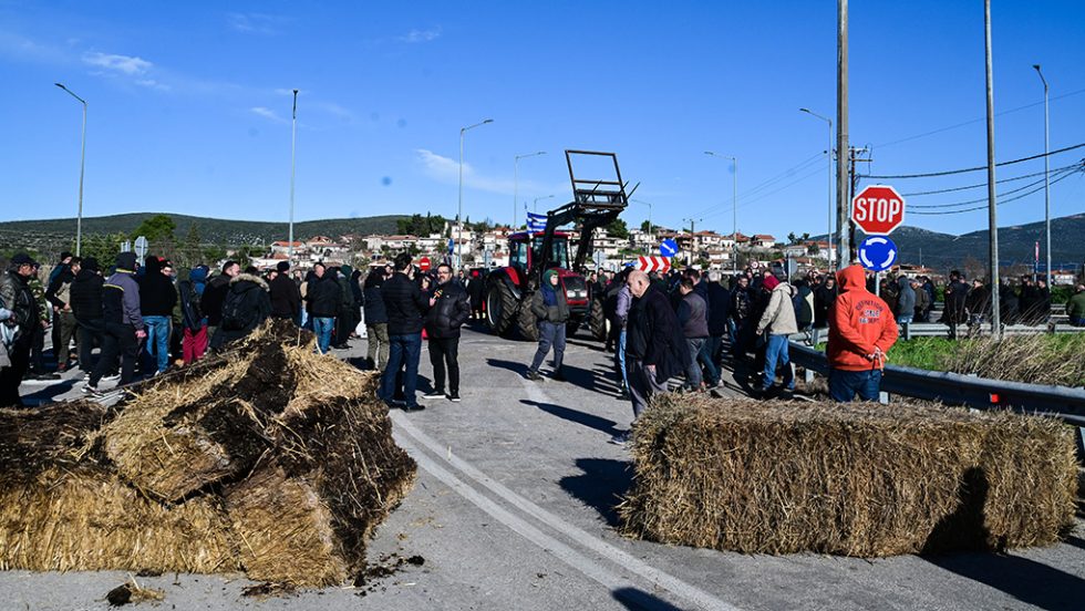 agrotes bloka kastro voiotias